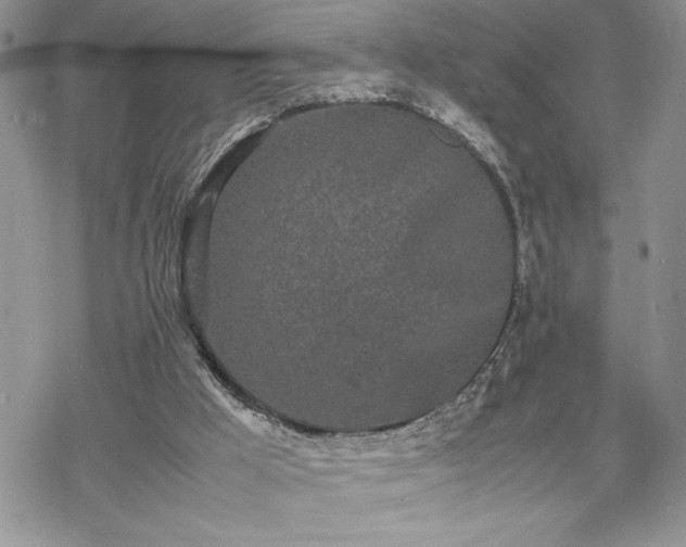 X0000070380009200606121304