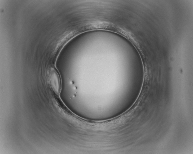 X0000070380010200606121304