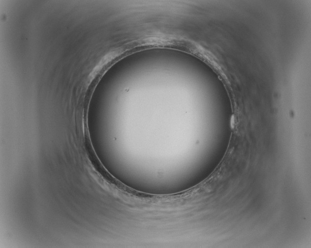 X0000070380011200606121304