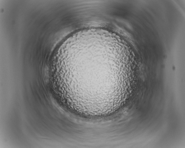 X0000070380012200606121304