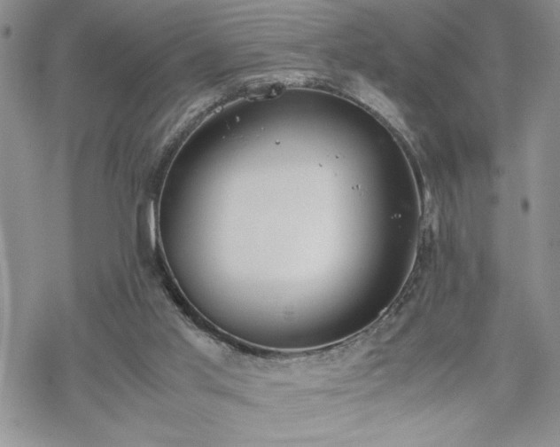 X0000070380013200606121304