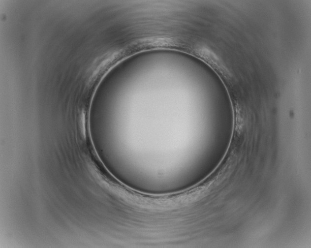 X0000070380014200606121304