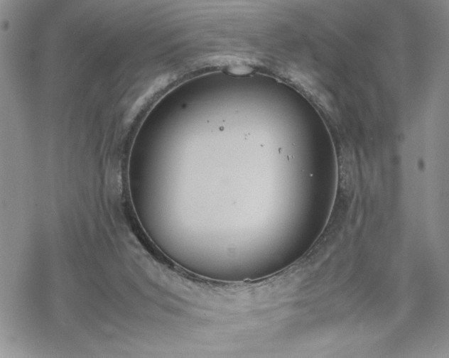 X0000070380015200606121304