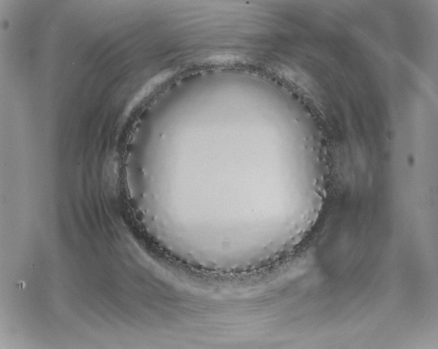 X0000070380016200606121304