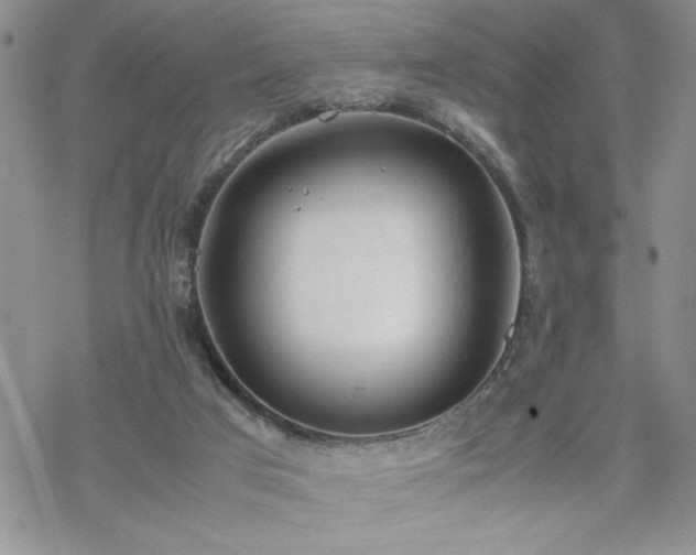 X0000070380017200606121304