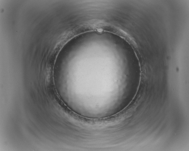 X0000070380018200606121304