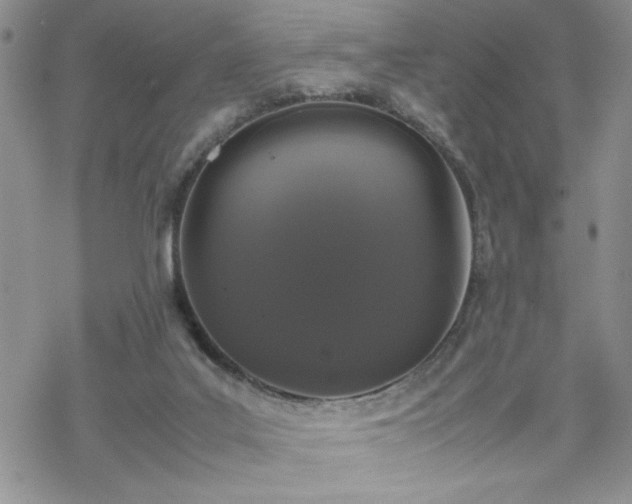 X0000070380019200606121304