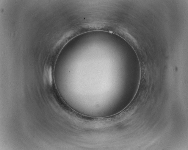 X0000070380020200606121304