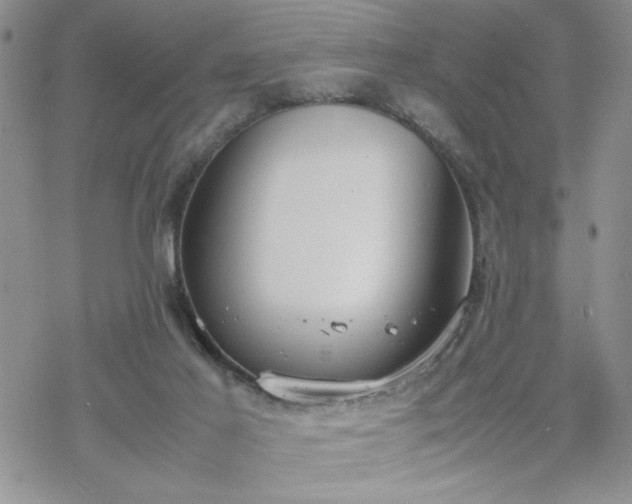 X0000070380021200606121304