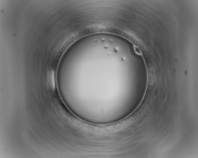 X0000070380022200606121304