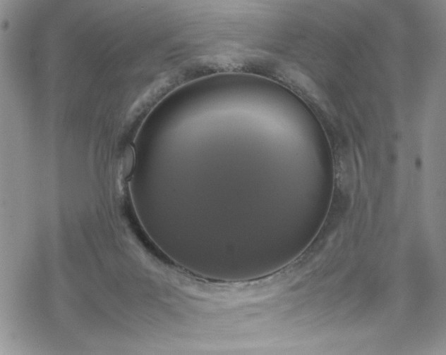 X0000070380023200606121304