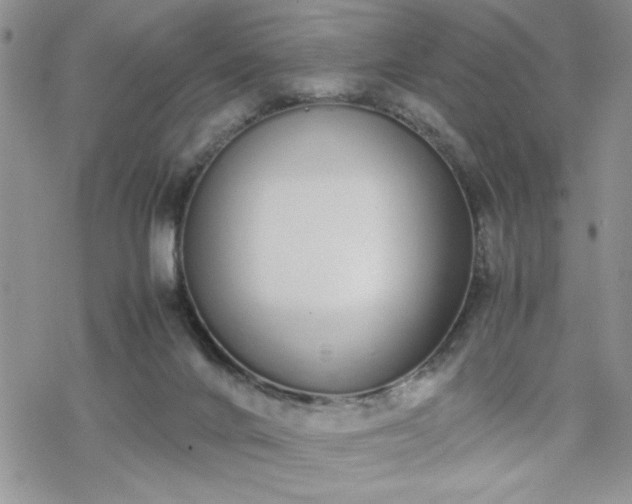 X0000070380024200606121304