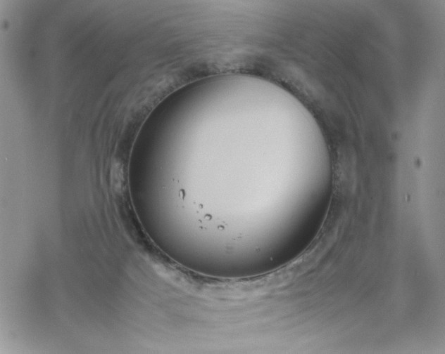 X0000070380025200606121304