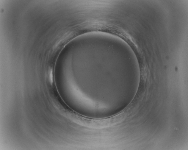 X0000070380027200606121304