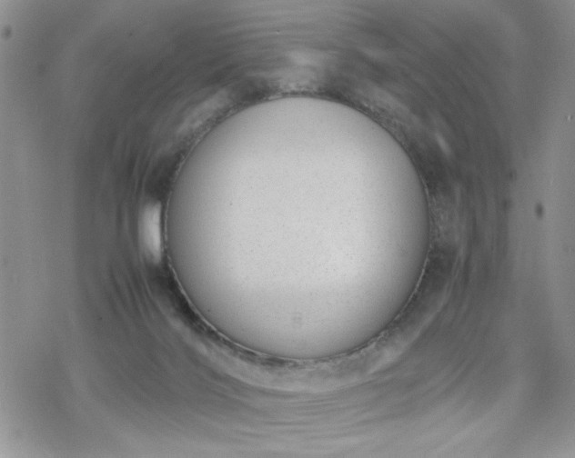 X0000070380028200606121304