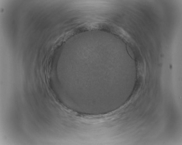 X0000070380029200606121304