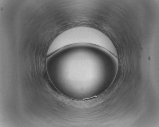 X0000070380030200606121304