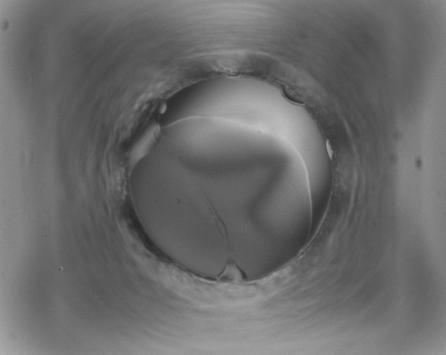 X0000070380031200606121304