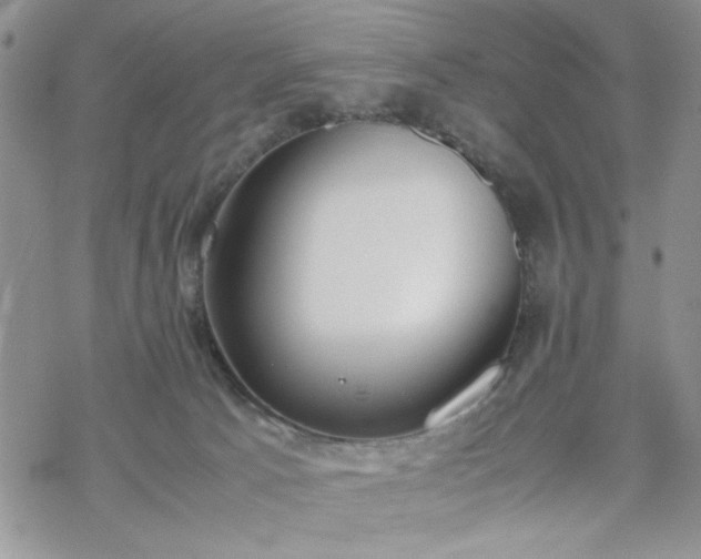 X0000070380033200606121304