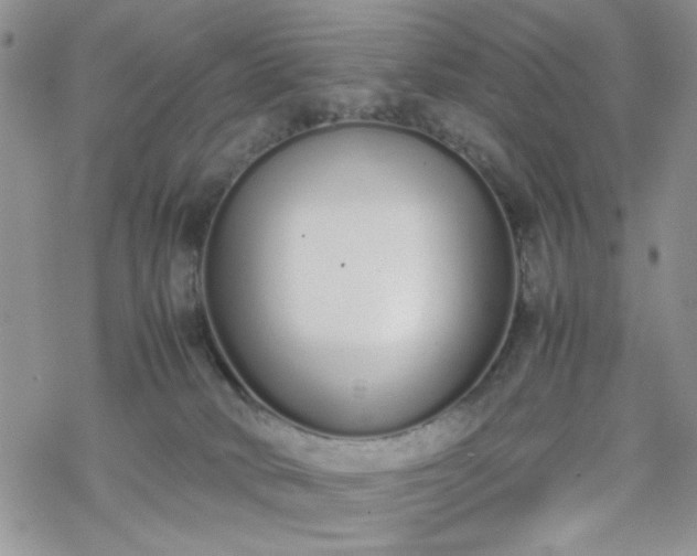 X0000070380034200606121304