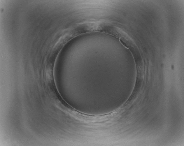 X0000070380035200606121304