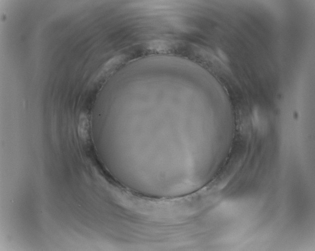 X0000070380036200606121304