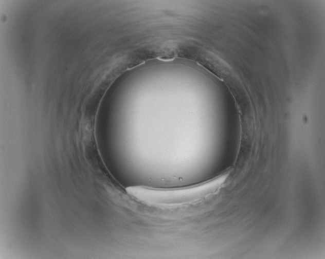 X0000070380037200606121304