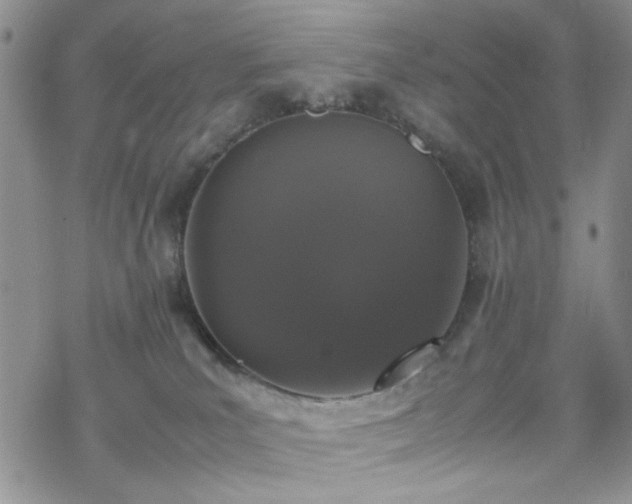 X0000070380039200606121304