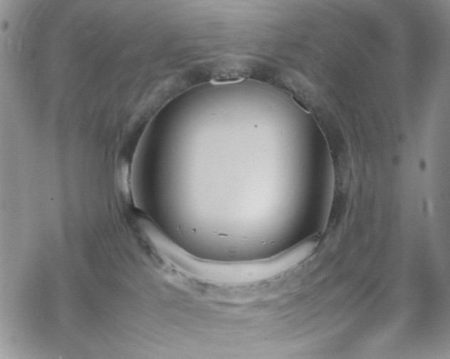 X0000070380041200606121303