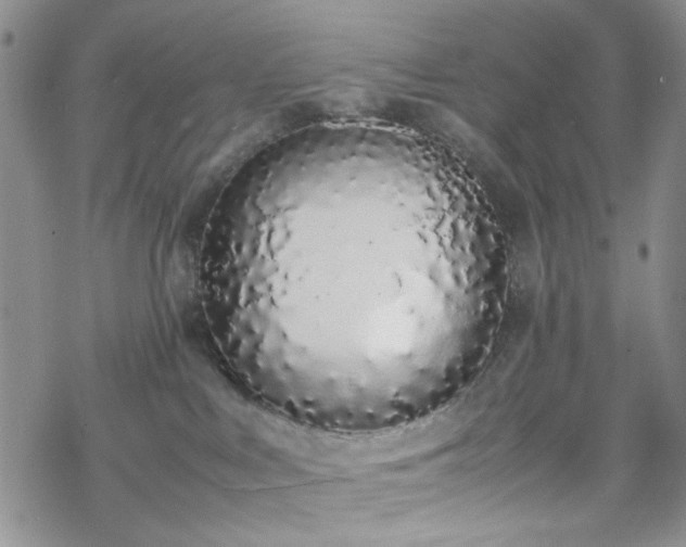 X0000070380043200606121303