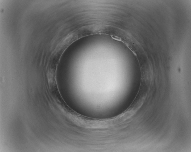 X0000070380044200606121303