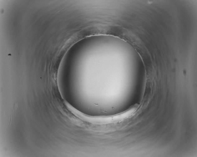 X0000070380045200606121303