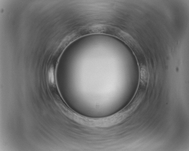 X0000070380046200606121303