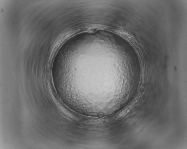 X0000070380049200606121303