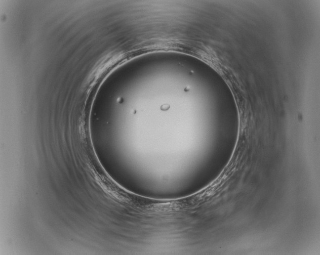 X0000070380050200606121303