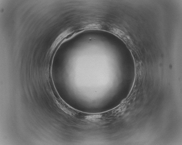 X0000070380051200606121303