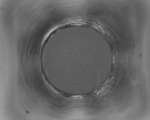 X0000070380052200606121303