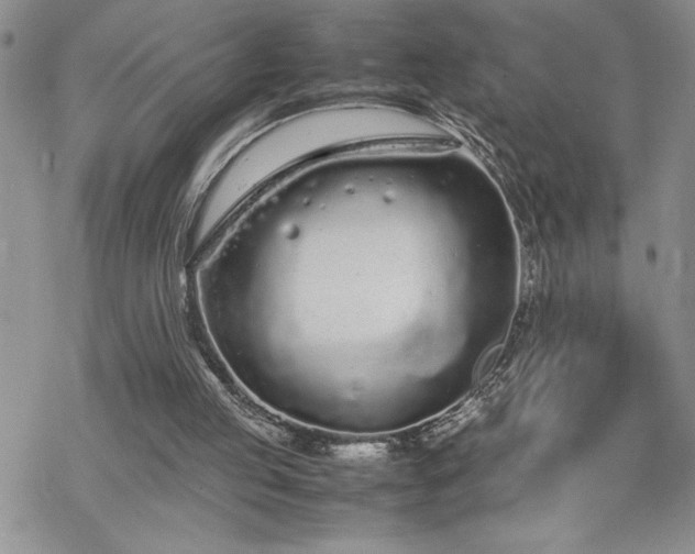 X0000070380053200606121303