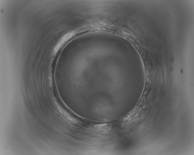 X0000070380054200606121303