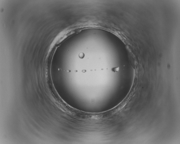 X0000070380056200606121303