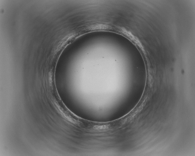 X0000070380057200606121303