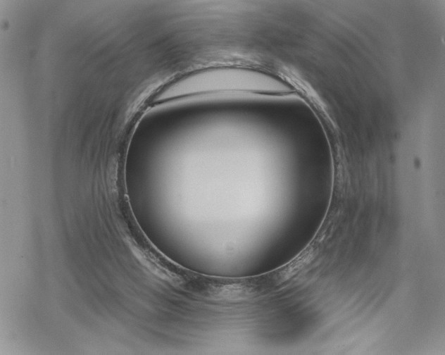 X0000070380058200606121303