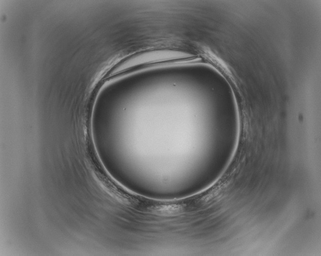 X0000070380059200606121303