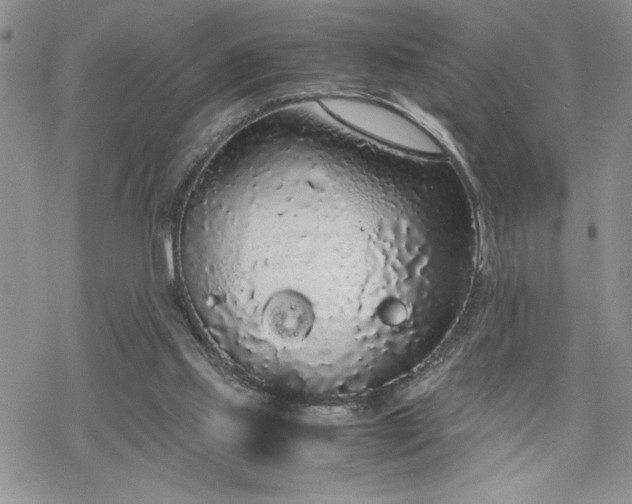 X0000070380061200606121303