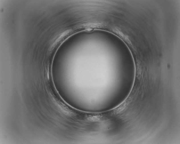 X0000070380062200606121303