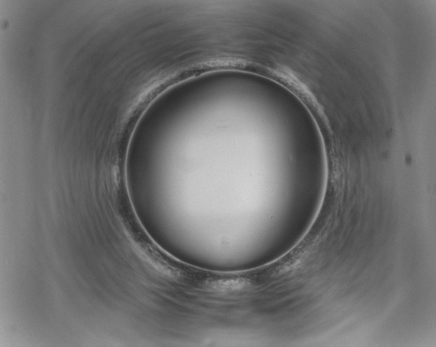 X0000070380063200606121303