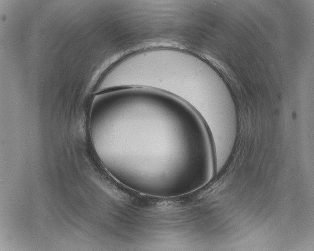 X0000070380064200606121303