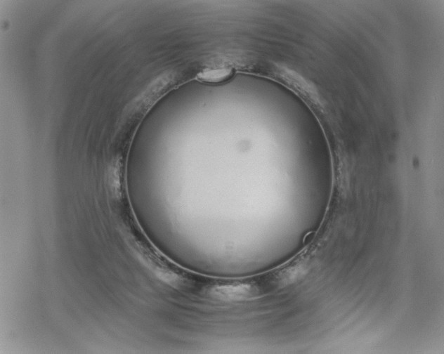 X0000070380065200606121303