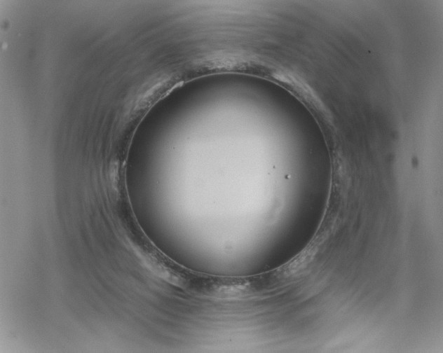 X0000070380066200606121303