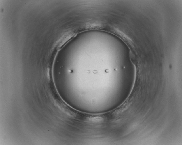 X0000070380067200606121303